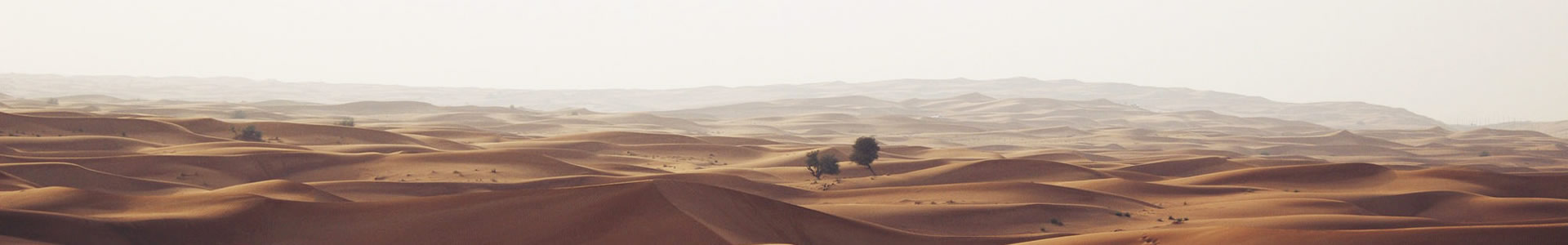 صӽܿƼ޹˾